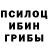 Галлюциногенные грибы Psilocybe nikolay bikov