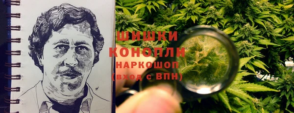 винт Белокуриха