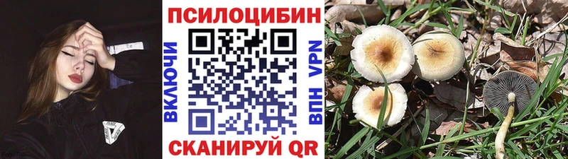 нарко площадка состав  blacksprut ссылка  Бикин  наркошоп  Псилоцибиновые грибы мухоморы 