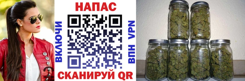 купить закладку mega зеркало Конопля MAZAR Бикин